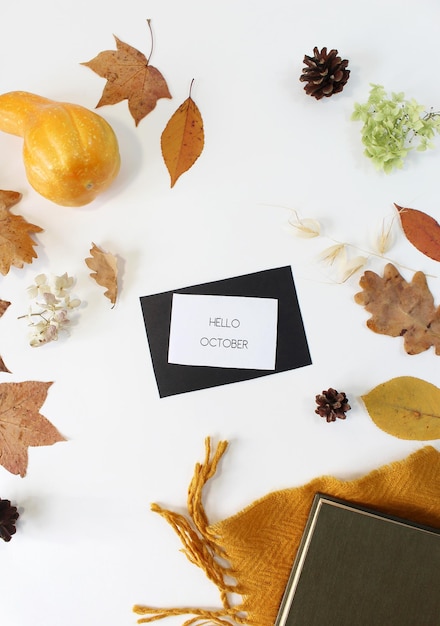 Autumn composition Dried leaves pumpkins flowers rowan berries on white background Autumn fall halloween thanksgiving day concept Flat lay top view copy space