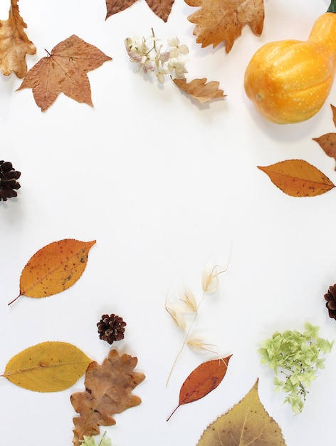 Autumn composition Dried leaves pumpkins flowers rowan berries on white background Autumn fall halloween thanksgiving day concept Flat lay top view copy space