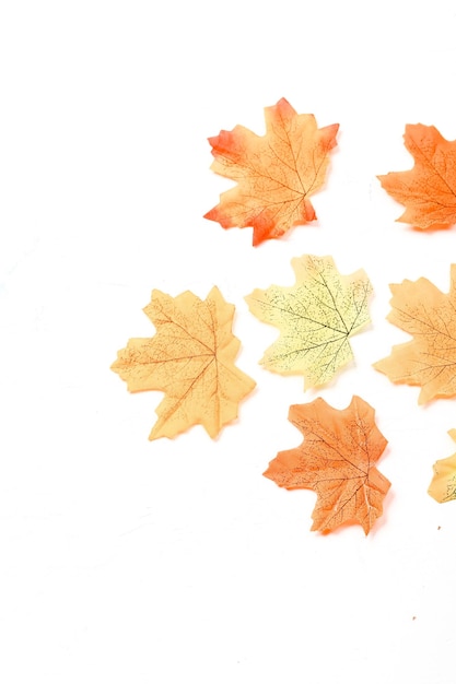 Autumn composition Dried leaves on white background Autumn fall thanksgiving day concept Flat lay top view copy space