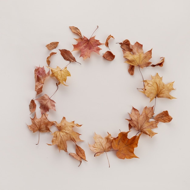 Autumn composition. Dried leaves on white background. Top view. Flat lay.