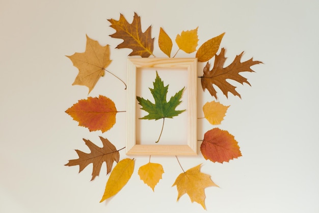 Autumn composition A frame of autumn fallen leaves on a beige background