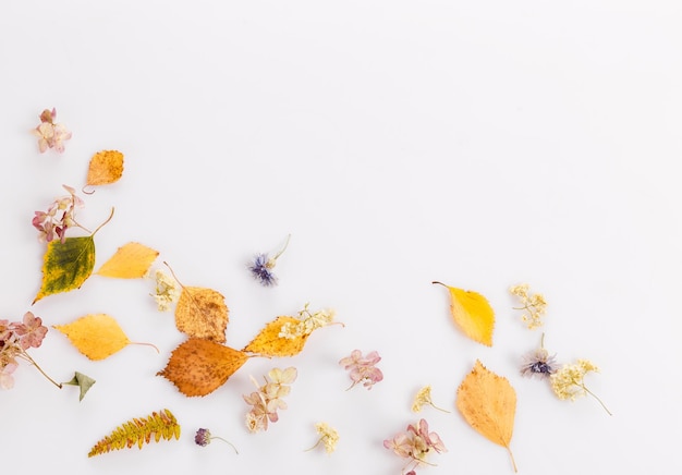 Autumn composition Frame made of autumn dry leaves dry flowers on white background Flat lay top view