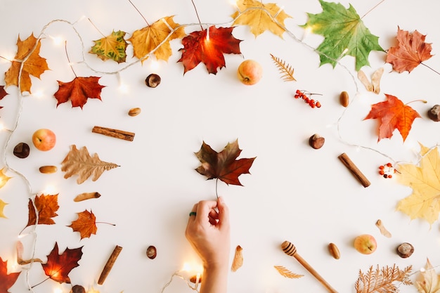 Autumn composition and frame made of autumn leaves on white background top view copy space