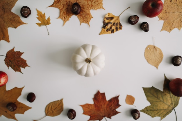 Autumn composition and frame made of autumn leaves on white background top view copy space