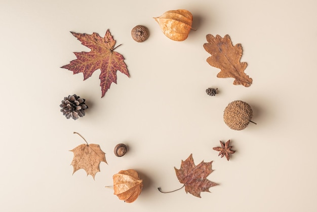 Autumn composition Frame made of dry leaves flowers acorn pine cone anise star on beige background Flat lay