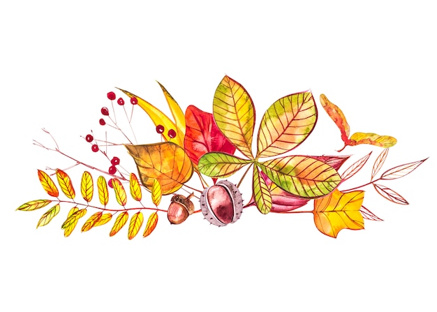 Photo autumn composition. illustrations made of autumn berries and leaves . watercolor illustrations.