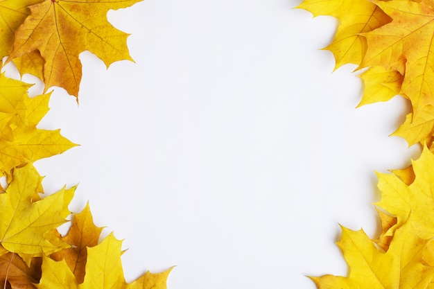 Autumn composition of leaves on a white background.