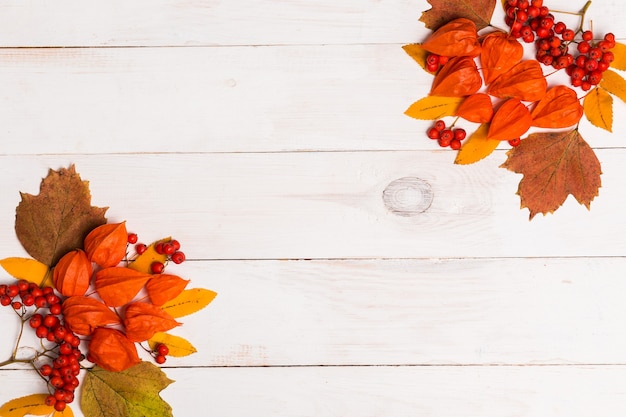 Autumn composition of lleaves, physalis, Rowan on white wooden background. Flat lay, top view, copy space