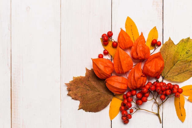 Autumn composition of lleaves, physalis, Rowan on white wooden background with copy space. Autumn, Halloween concepts