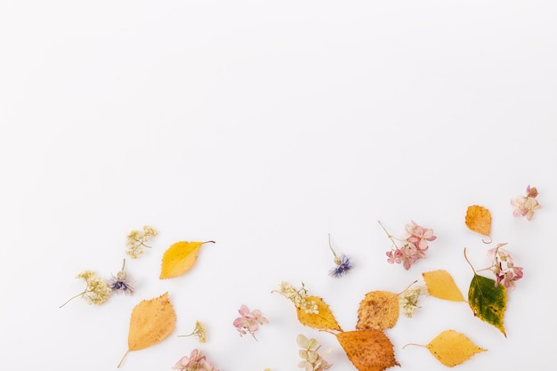 Autumn composition made of autumn dry multicolored leaves on white wooden background Autumn fall concept Flat lay top view