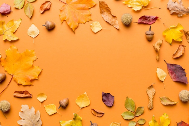 Autumn composition made of dried leaves cones and acorns on table Flat lay top view copy space