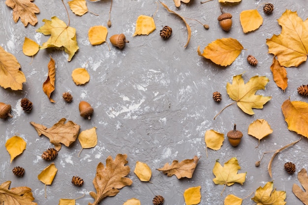 Autumn composition made of dried leaves cones and acorns on table Flat lay top view