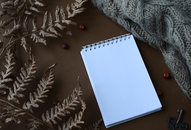 Autumn composition, open notebook, fern leaf, wool knitted clothes, juniper berries brown background