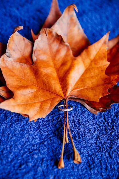 Autumn composition of orange leaves in a ring with acorns