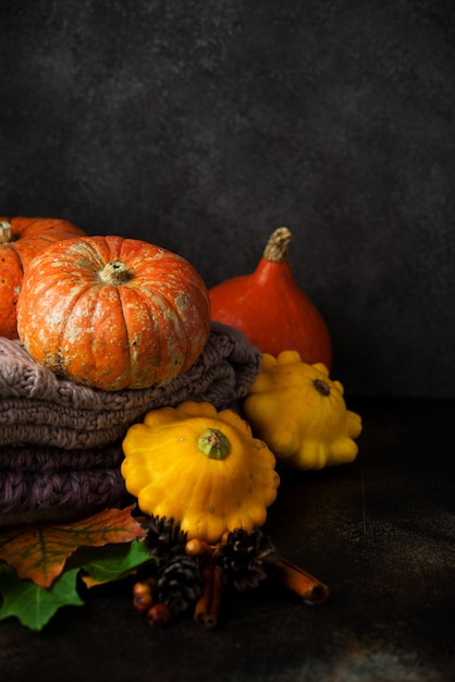 Autumn composition - orange pumpkins, warm scarf, fallen leaves on black background, copy space