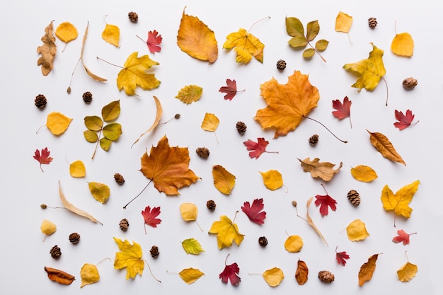 Autumn composition Pattern made of dried leaves and other design accessories on table Flat lay top view