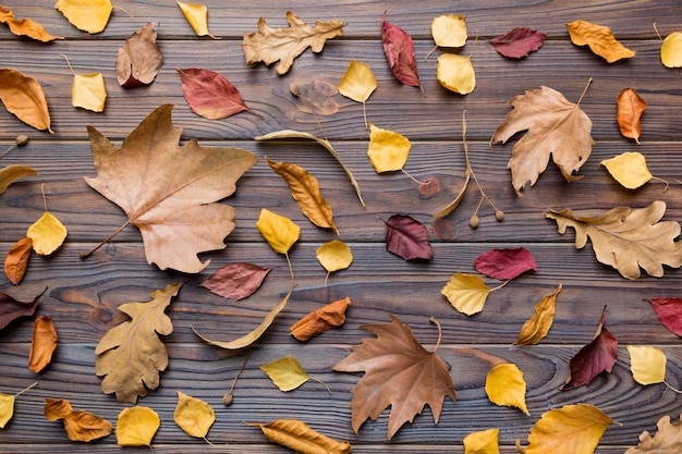 Autumn composition Pattern made of dried leaves and other design accessories on table Flat lay top view