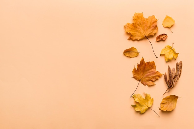 Autumn composition Pattern made of dried leaves and other design accessories on table Flat lay top view