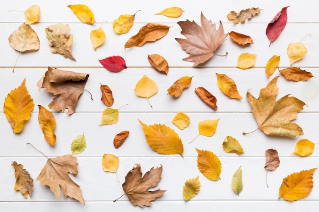 Autumn composition Pattern made of dried leaves and other design accessories on table Flat lay top view