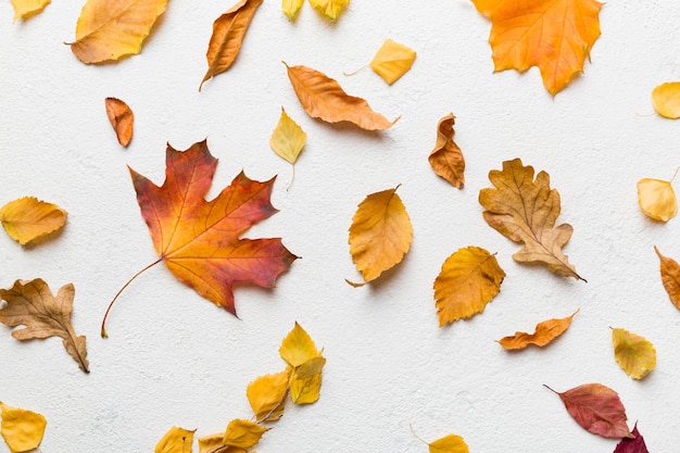 Autumn composition Pattern made of dried leaves and other design accessories on table Flat lay top view