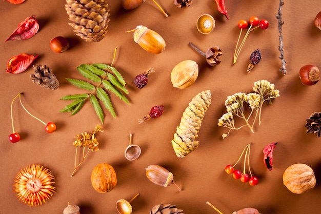 Autumn composition pattern with dry leaves, cones, acorns, berries and nuts