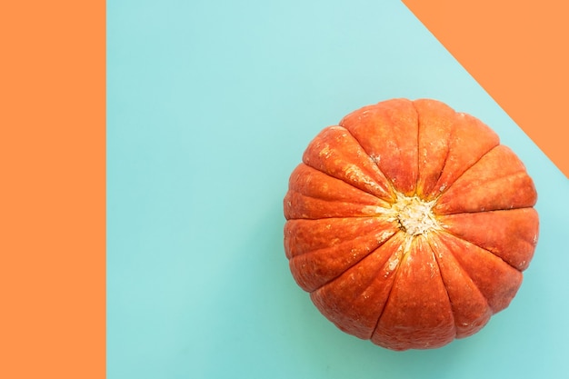 Autumn composition. Pumpkins on blue and orange