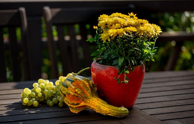 Autumn composition with autumn flowers chrysanthemum leaves and pumpkins stand on a table