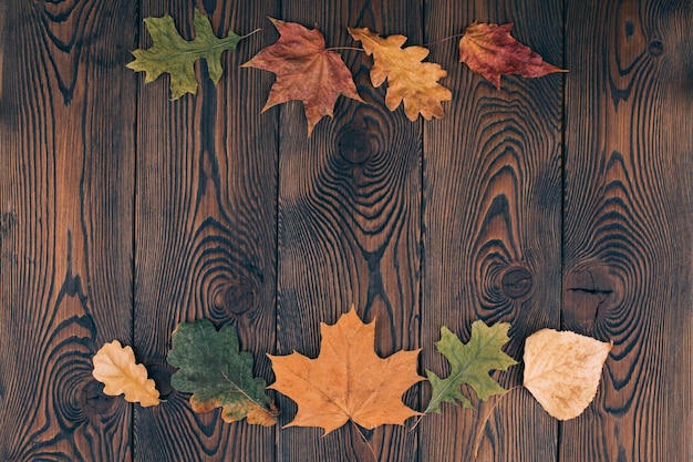 Autumn composition with colored dry leaves lined at the top and bottom of the photo on a rustic wooden background Flat lay copy space