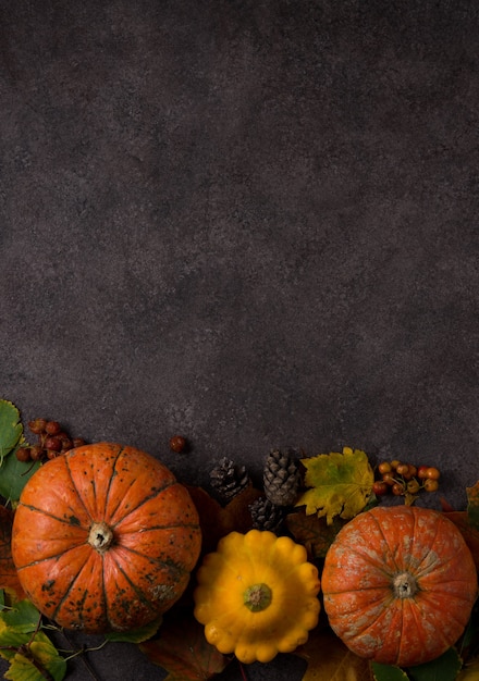 Autumn composition with colorful fresh pumpkins and autumn leaves, Thanksgiving, autumn background, top view, copyspace