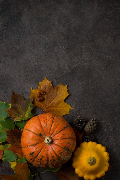 Autumn composition with colorful fresh pumpkins and autumn leaves, Thanksgiving, autumn background, top view, copyspace