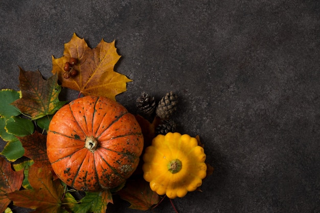 Autumn composition with colorful fresh pumpkins and autumn leaves, Thanksgiving, autumn background, top view, copyspace