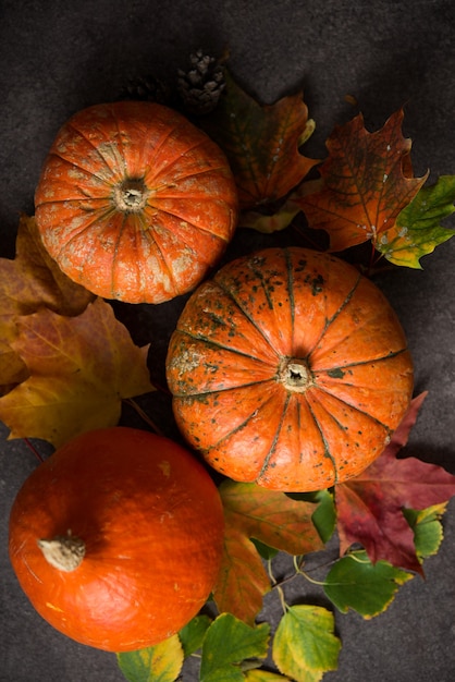 Autumn composition with colorful fresh pumpkins and autumn leaves, thanksgiving day, top view