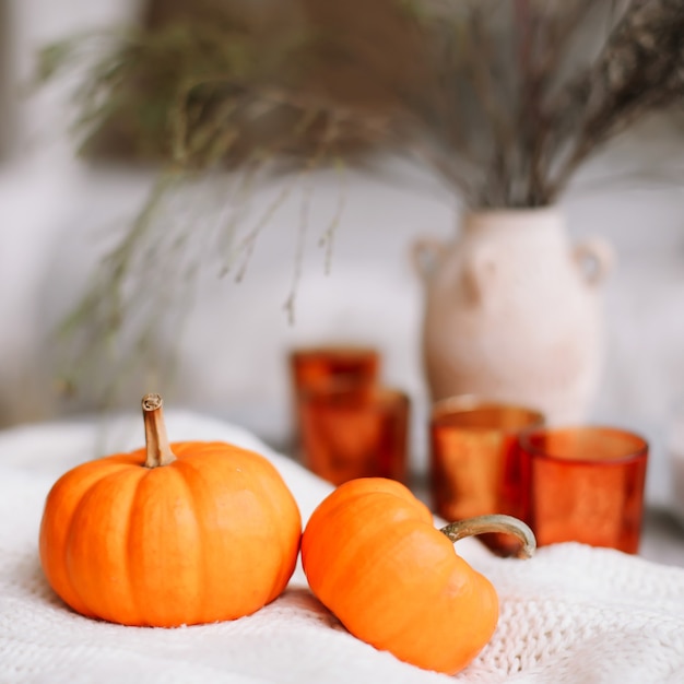 Photo autumn composition with pumpkins candles book and dried flowers with warm plaid