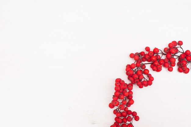 Autumn composition. Wreath made of rowan berries.