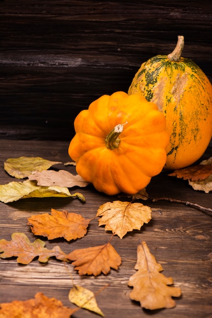 Autumn concept: orange pumpkins with dry leaves