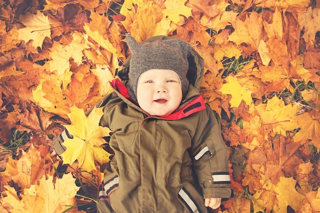 Autumn Concept Small Baby Lying on Fall Maple Leaves Outdoors