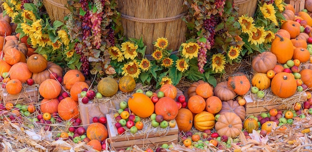 Autumn concept with seasonal fruits and vegetables. Autumn background of seasonal vegetables on the hay.