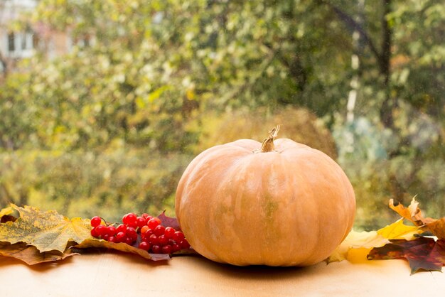 Autumn cozy still life. orange pumpkin and rainy window. fall season. thanksgiving and halloween concept