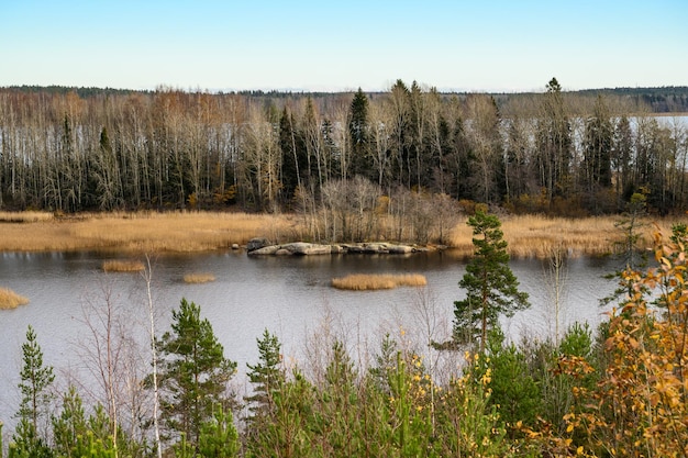 Autumn day Straw grass Trees and Bay Gulf of Finland Vyborg