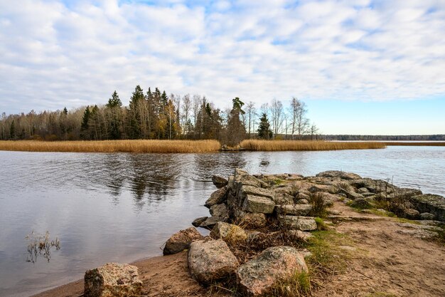 Autumn day Straw grass Trees and Bay Protective Bay Gulf of Finland Vyborg