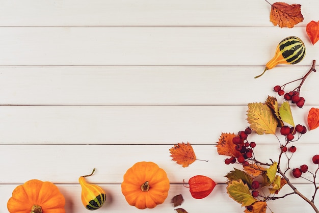 Autumn decor from pumpkins, berries and leaves on a white wooden background. Concept of Thanksgiving day or Halloween. Flat lay autumn composition with copy space.