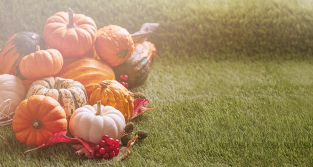 Autumn decor from pumpkinsThanksgiving day or Halloween with copy space Thanksgiving pumpkins