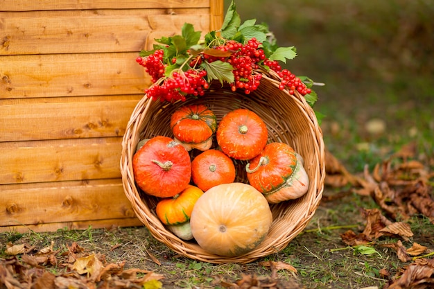 Autumn decor. pumpkins, berries and leaves outdoors