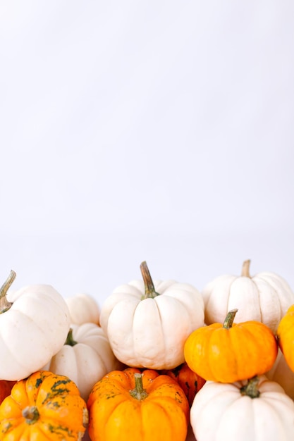 Autumn decoration on white with copy space. Fall, halloween, thanksgiving