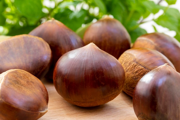 Autumn delicacies, chestnuts in front of white background