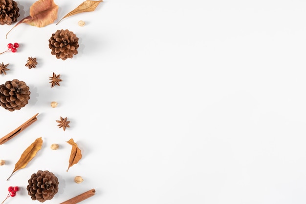 Autumn dried leaves on white.