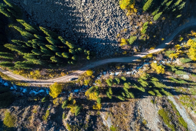 Autumn drone aerial shot