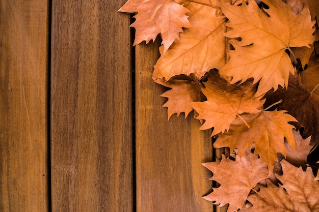 Autumn dry leaves on wooden surface