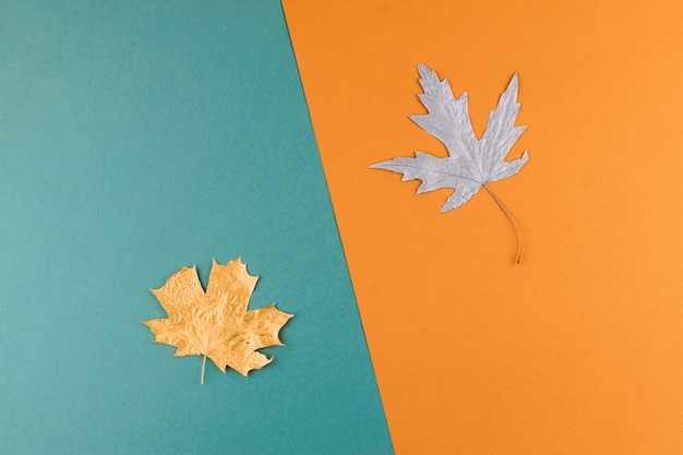 Autumn Fall Background.  Autumn Arrives. Minimal creative flat lay