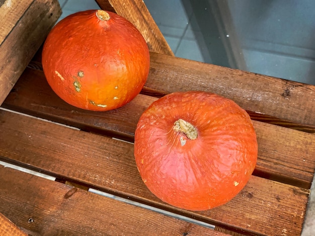 Autumn fall sesonal decor orange traditional halloween pumpkin vegetable